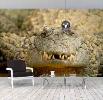 Picture of Head of crocodile in closeup